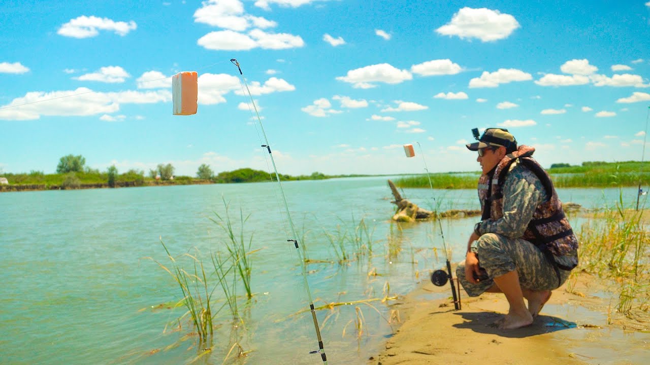 Река Или: Рыбалка и отдых, июнь 2024 🎣