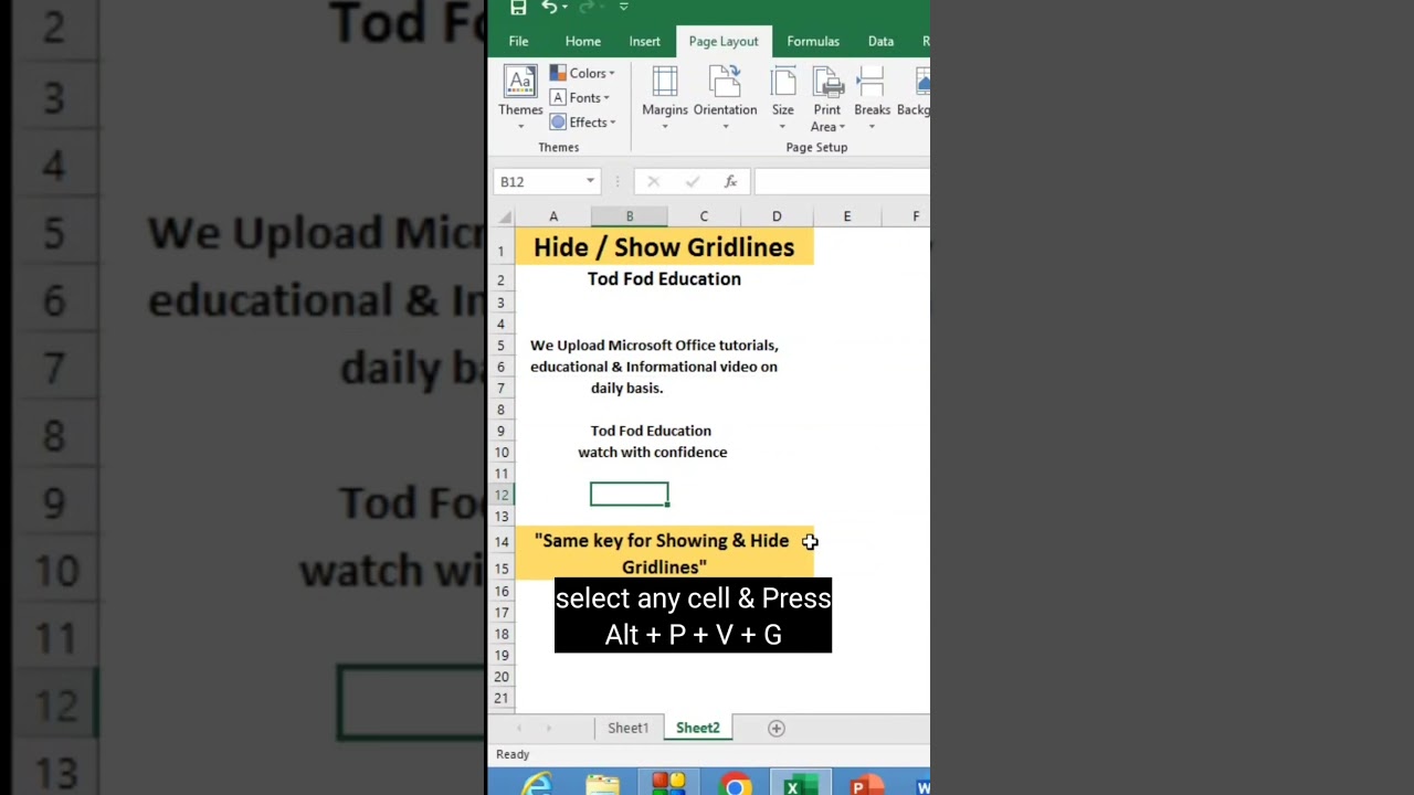 Excel Gridlines: Hide & Show Tips ✨