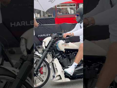 Harley Breakout#breakout #harley