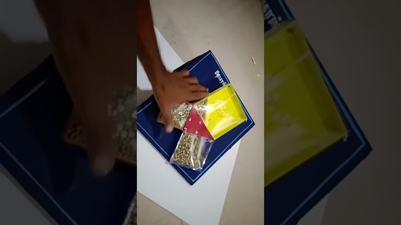 Interactive Pythagoras Theorem Working Model – Perfect for Educational Demonstrations 📐