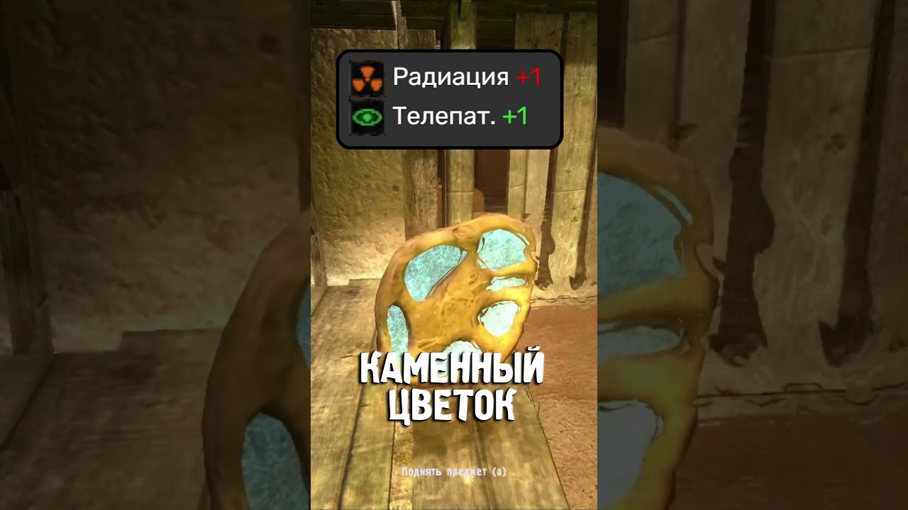 История изменений артефактов в STALKER #3