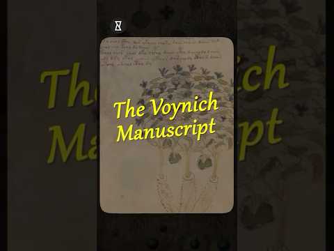 Scientists, AI, and Cryptographers FAILED to Decode This 600-Year-Old Book