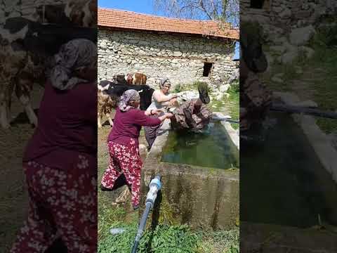 #memes #foodyouwanttoeat #comedy #bestrestaurantintheworld #komedi