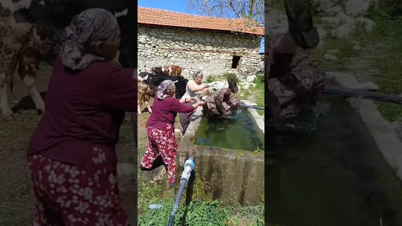 Top Food & Comedy Memes from the Best Restaurants 🍽️