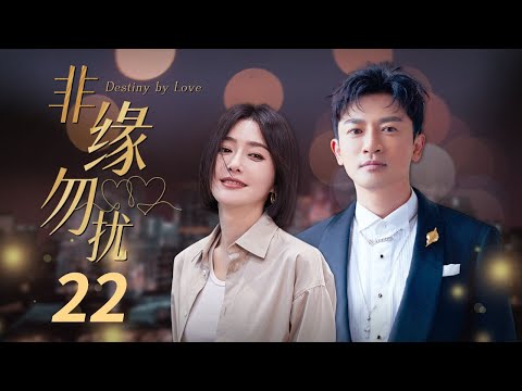 【ENG SUB】《非缘勿扰》 第22集 丁娟怀孕与陈树峰争吵 刘琳和杨阳大醉街头  （主演：苏有朋、秦岚、熊乃瑾、谭俊彦 ）【CCTV电视剧】