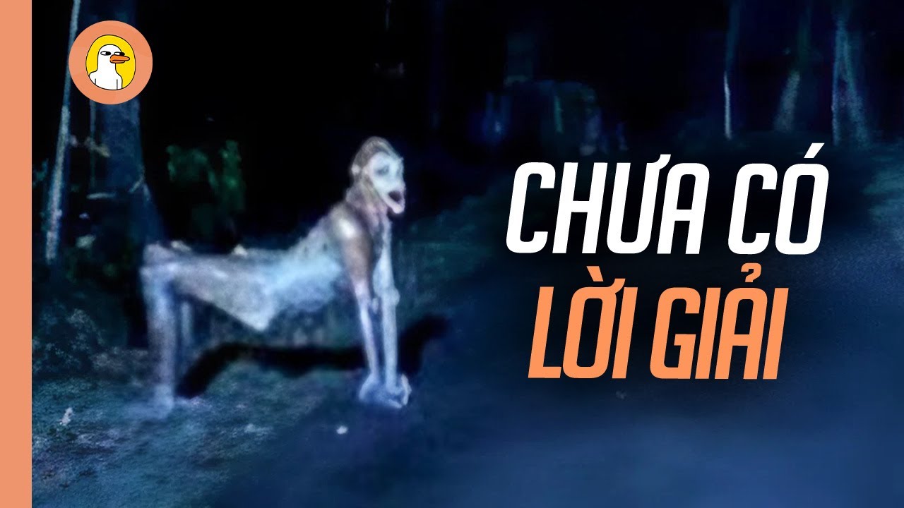 Truyền Thuyết Về Sinh Vật Bí Ẩn Nhất Hành Tinh |Quạc Review Phim|