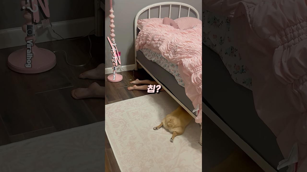 세상에서 가장 귀여운 조합 🥰