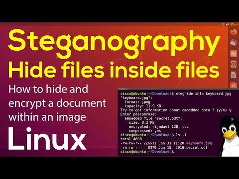 🧰 Hide files inside files | Using Steganography to encrypt a .doc within a .jpg 🛠️ Linux Tutorial