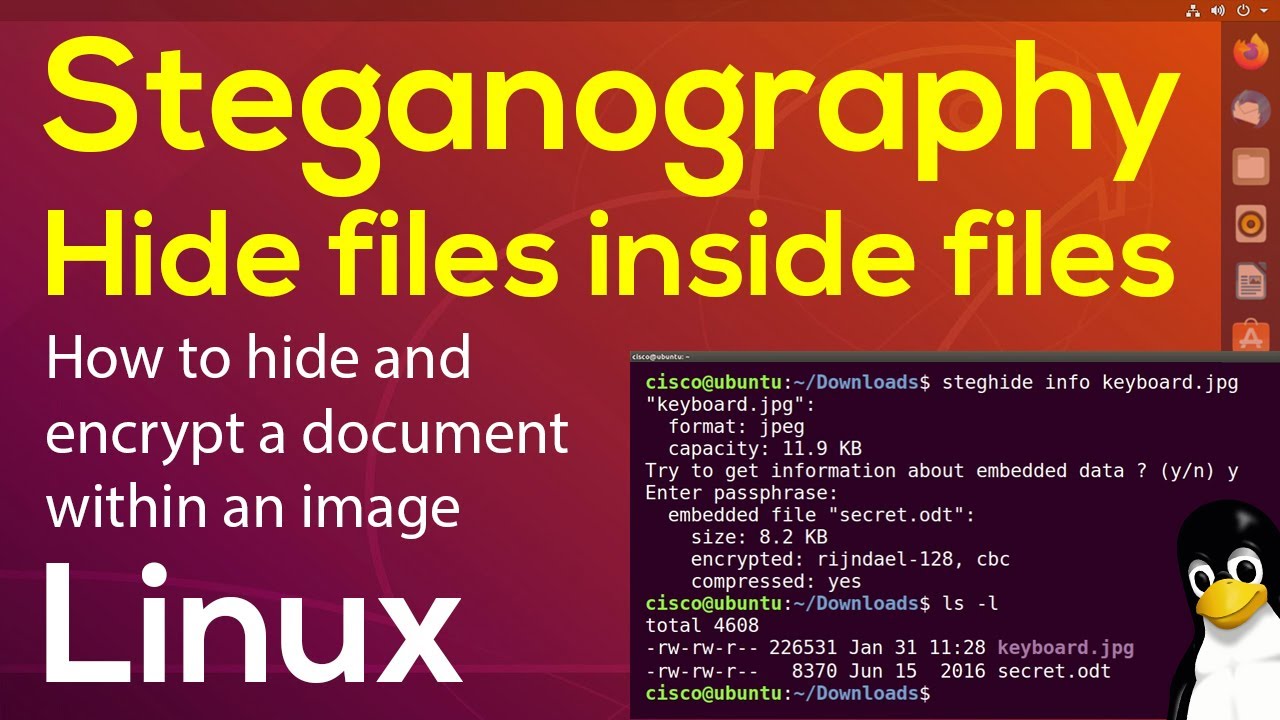 Steganography Tutorial: Hide a .doc Inside a .jpg on Linux 🧩