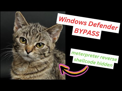 Cyber Security - Bypass Windows Defender with Steganography/WafflesExploits