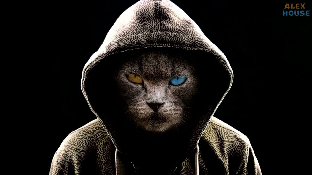 Alex House G-House DJ Set #70 🎶 | Ultimate G-House Mix & Social Links