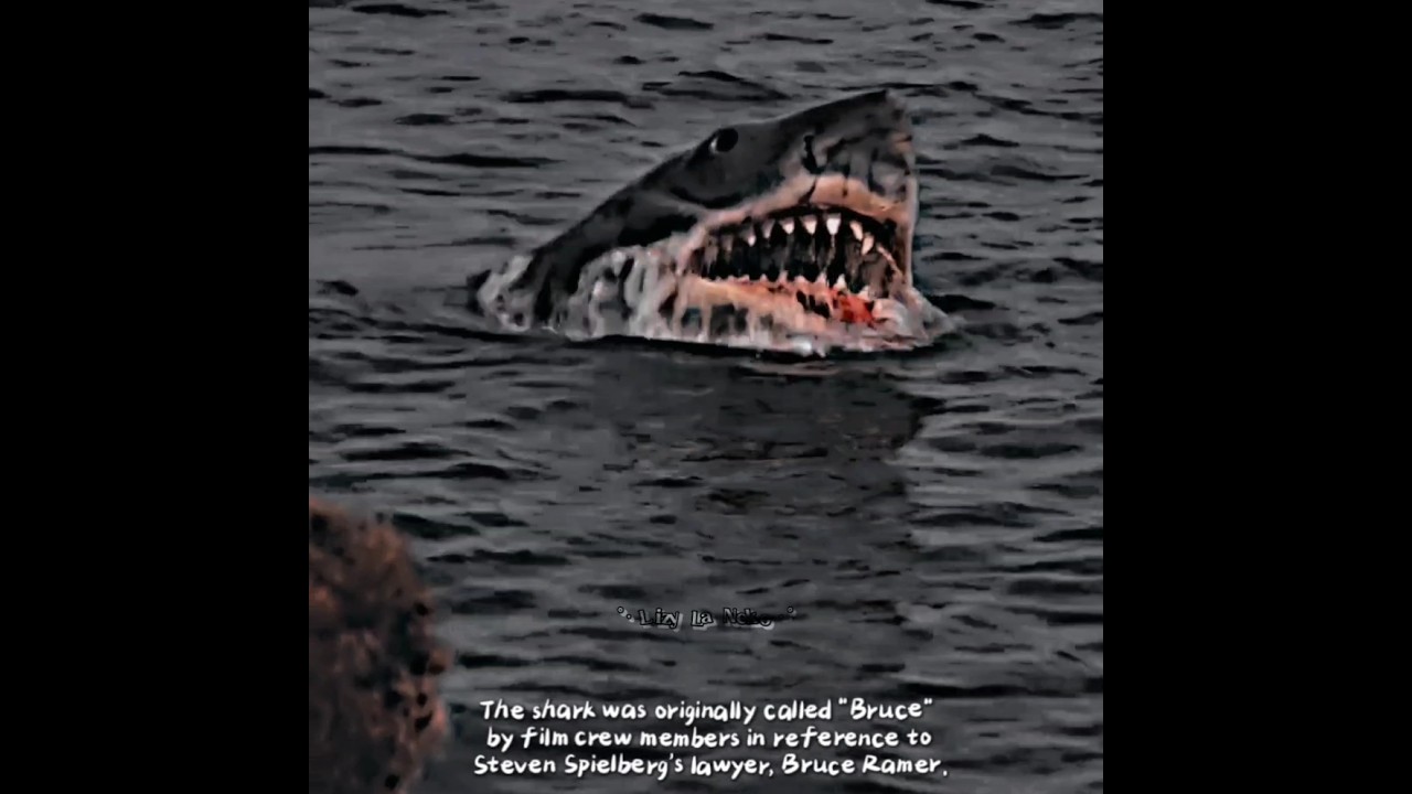 Love Animatronics & Squalophobia 🦈