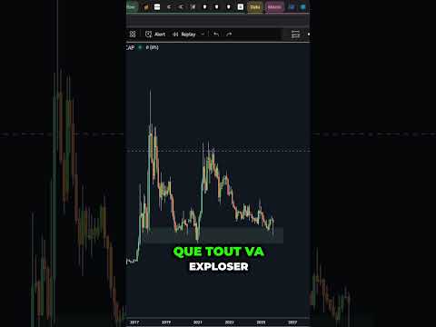 La PANIQUE s'installe sur les ALTCOINS et pourtant .. #altcoins #crypto #cryptomonnaie #investir