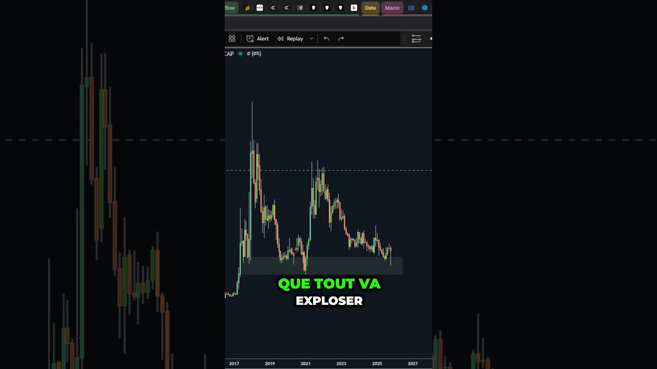 Crise sur les Altcoins : Faut-il s'inquiéter pour vos investissements en crypto ? 🚨