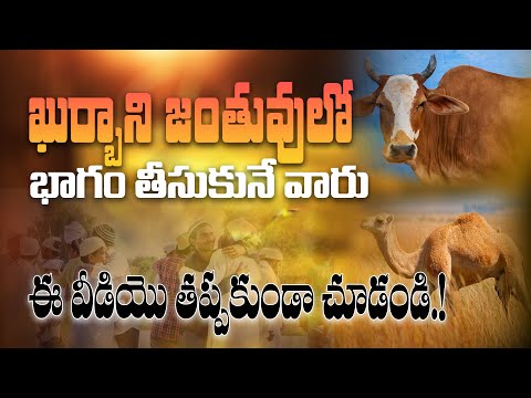 🔴 ఖుర్బానీ జంతువులో (భాగం) తీసుకునే వారు ఈ వీడియో చూడండి..!  || హాఫిజ్ బాయజీద్ సిరాజి