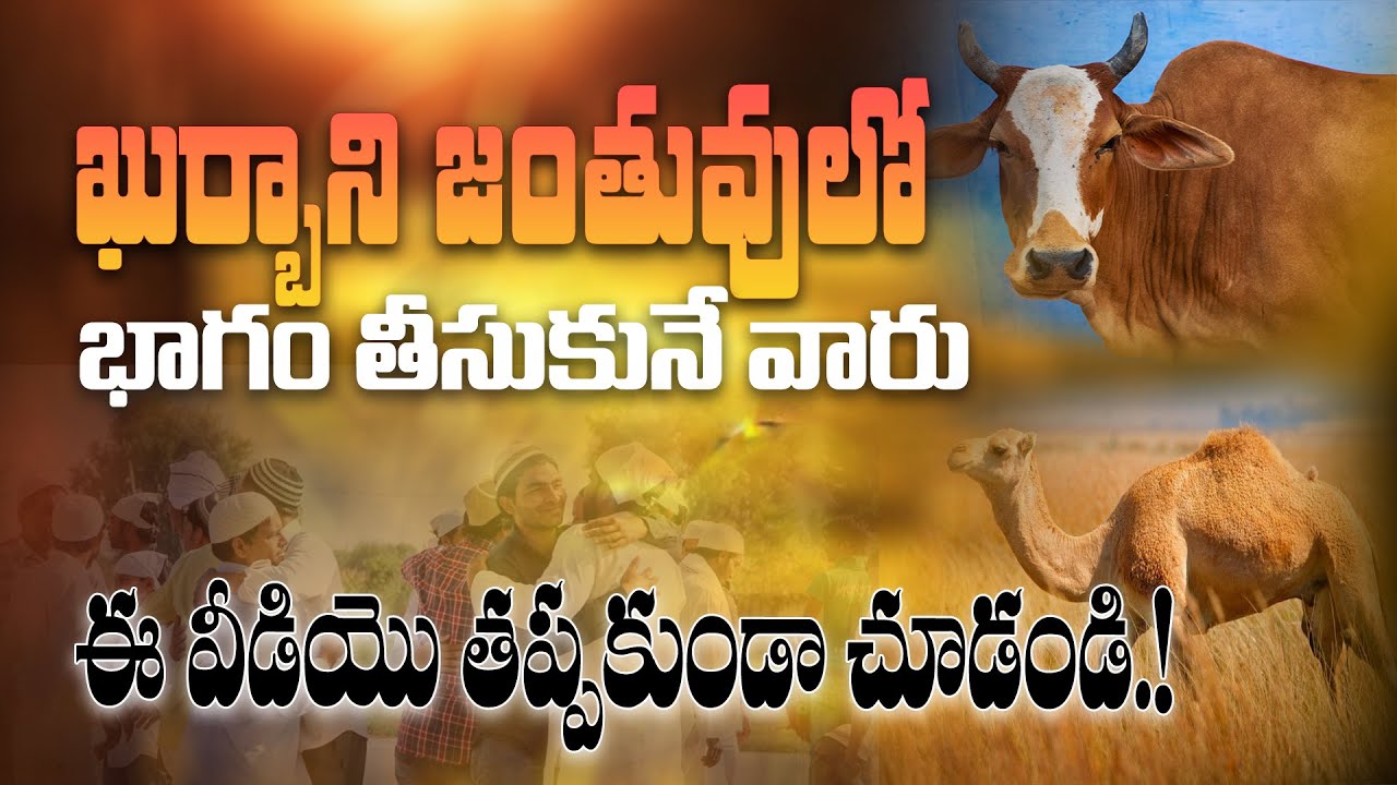 ఖుర్బానీ జంతువులో భాగం తీసుకునే విధానం | హాఫిజ్ బాయజీద్ సిరాజి బయాన్ 🐑