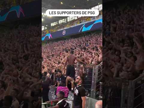 Grosse Ambiance dans le Parcage Parisiens les supporters sont bouillants #football #psg #ucl