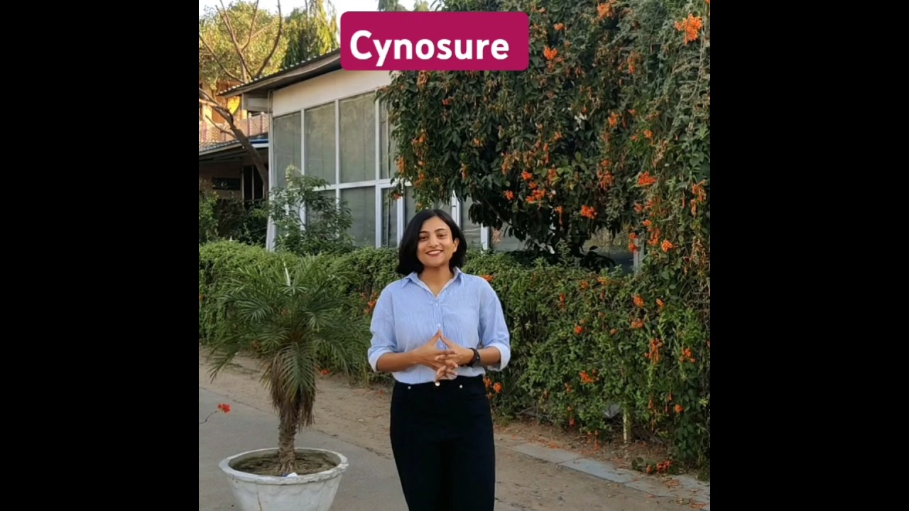 Cynosure: Meaning & Usage in Vocabulary 📚