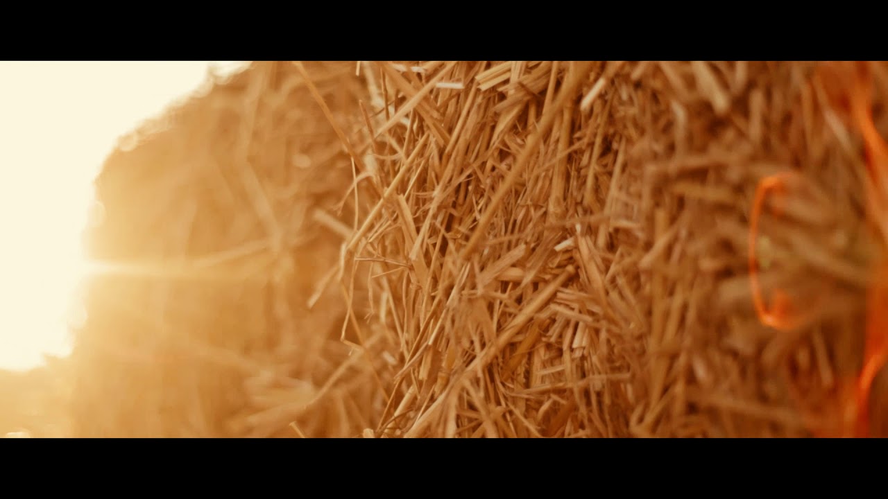 The Lost World 📸: Canon 5D II & 50mm F/1.4 Footage