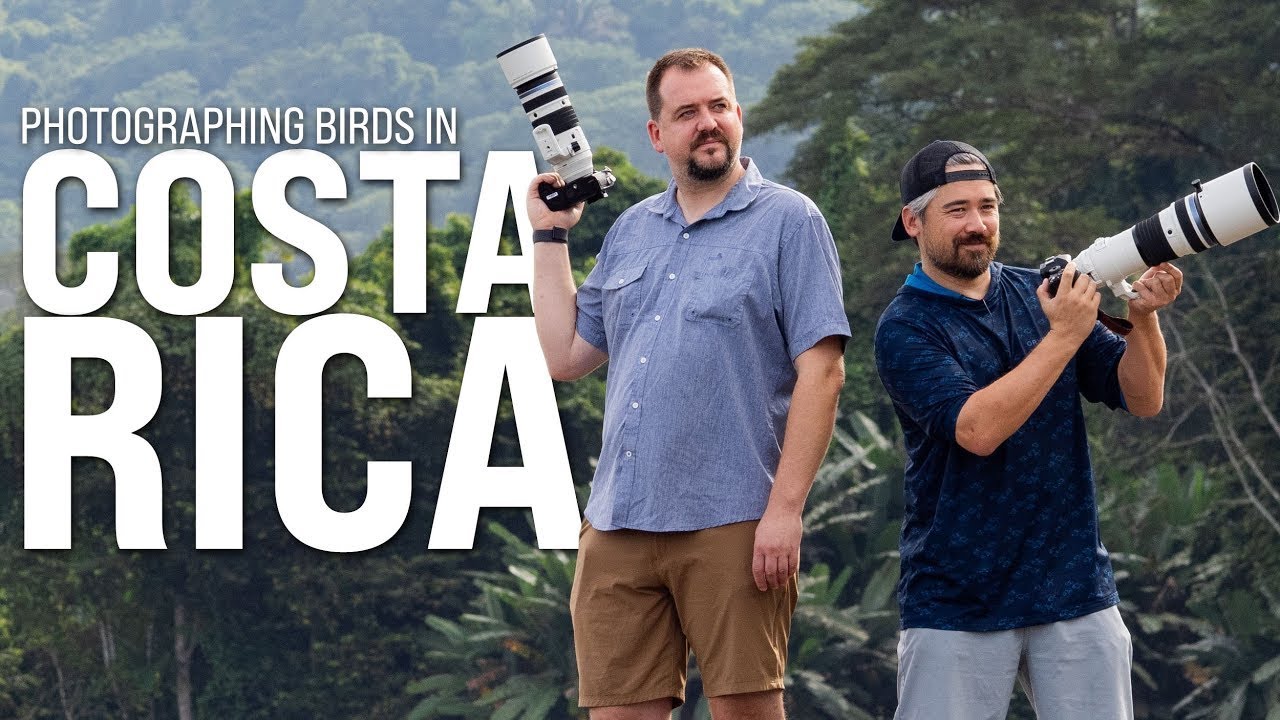 Trail Camera: Bird Photography In Costa Rica!