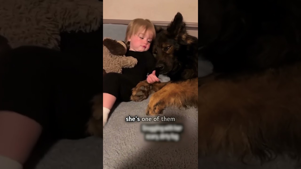 7 Girl Raised by 7 Loving Dogs 🐶