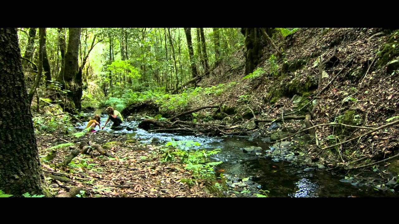 La Gomera: ¡No puedes perderte este destino! 🌴