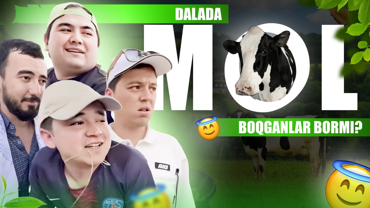 Dalada mol boqqanlar bormi? 🐄 Qiziqarli videolar bilan kayfiyatingizni ko'taring!
