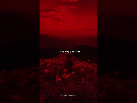 one kiss x i was never there | lyrics | aesthetic | whatsapp Status | English songs | slowed #viral✨