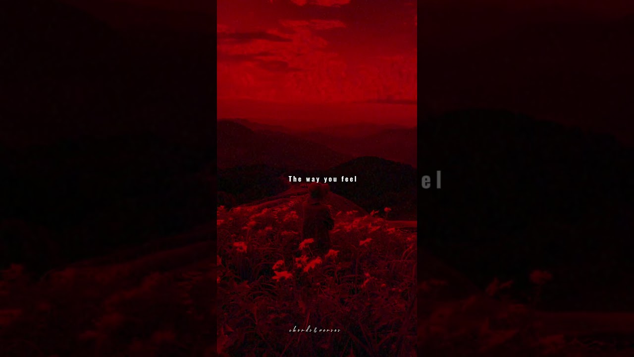 🎵 One Kiss x I Was Never There | Aesthetic Lyrics & Viral WhatsApp Status