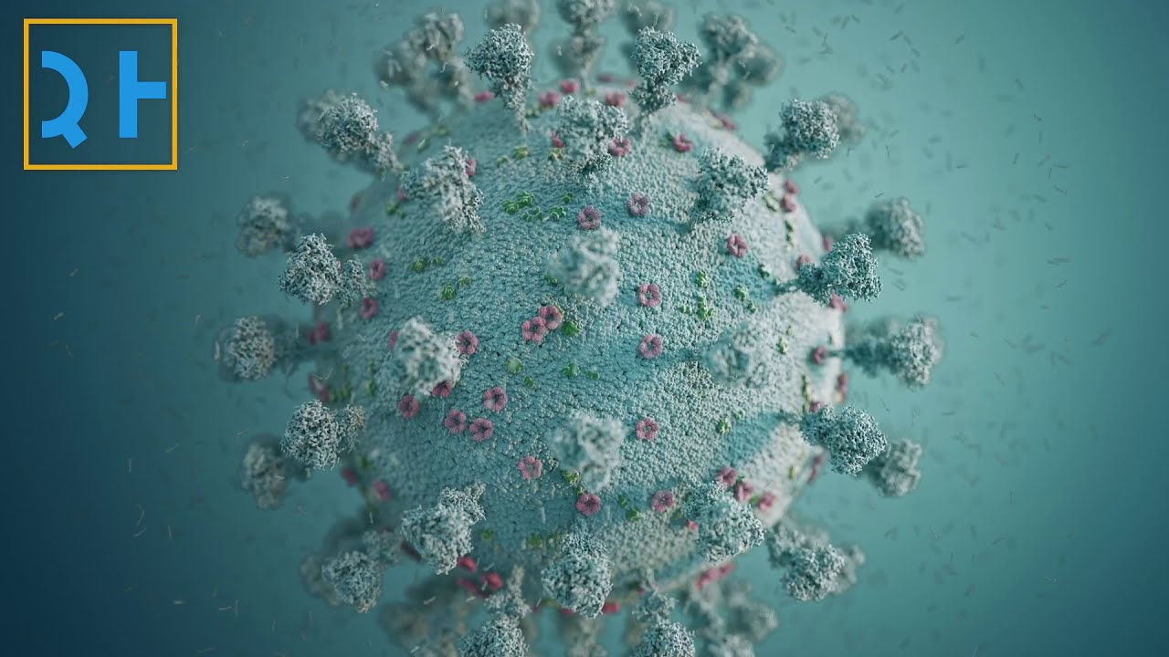 WHO Report Links COVID-19 to Chinese Wildlife Farms 🐾