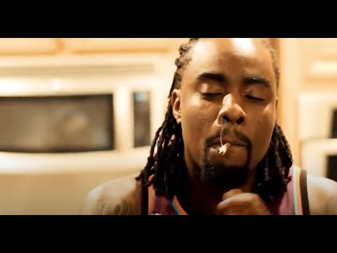 Wale - Good Vibes (Za) [Visualizer]