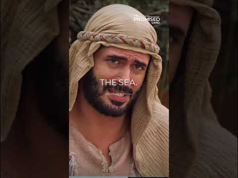 An Egyptian on the way to the promised land is CRAZYYYY #thepromisedlandseries #mosesshow #holyhumor