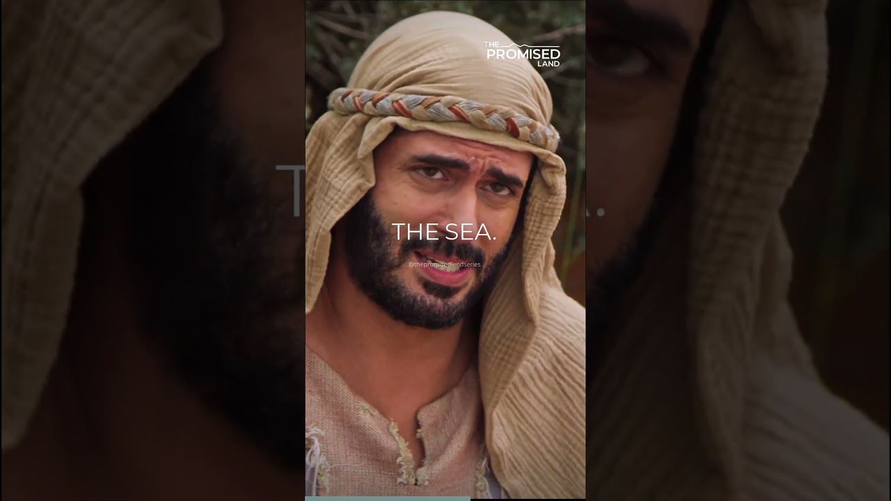 Egyptian's Wild Journey to the Promised Land 🚶‍♂️