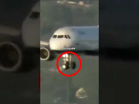 Tout le monde pensait que cet avion était condamné