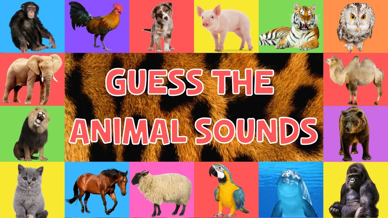 Guess Animal Sounds for Kids 🐾 | 4K Fun Learning