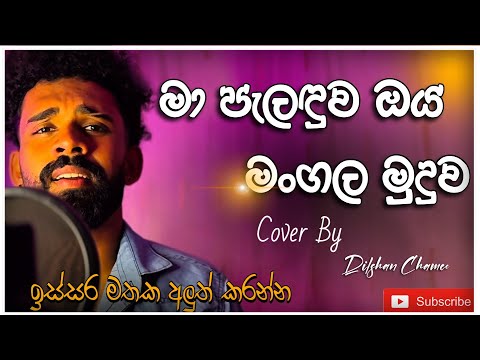 āļ¸āļŊ⎠āˇāˇāˇāļŗ āļāˇāļē⎠āļ¯āˇāļąāˇ āļāļē āļ¯āˇāˇāˇ | Ma paladuwa | #dilshanchamee