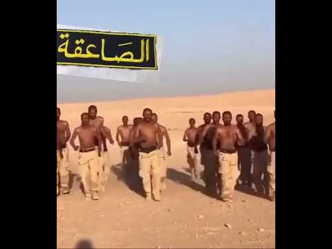 هارولة دورة الصاعقة