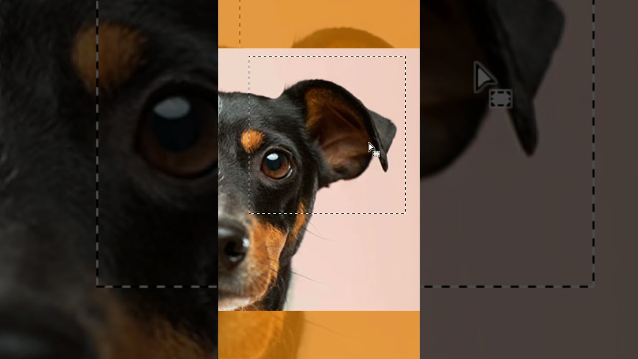 Using Rectangular Marquee Tool in Photoshop ✂️