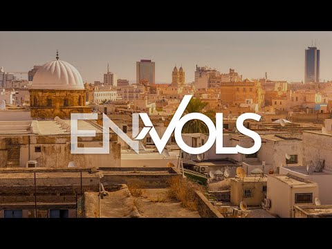 Guide de voyage / Travel Guide - Tunis (Tunisie)