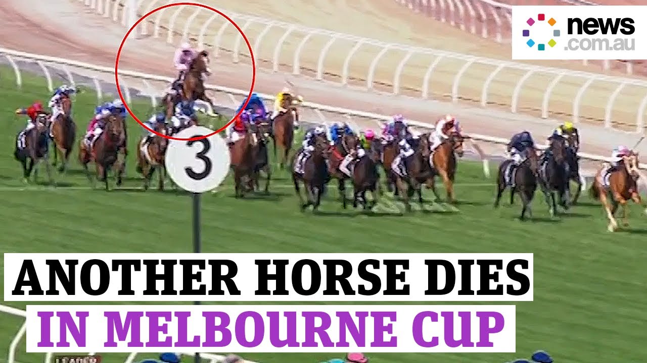 Melbourne Cup 2020: Anthony Van Dyck Dies 🏇