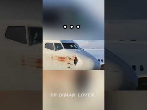 Other : Bird strikes aren't that dangerous #avgeek #flight #planes #birdstrike #airline #aircraft