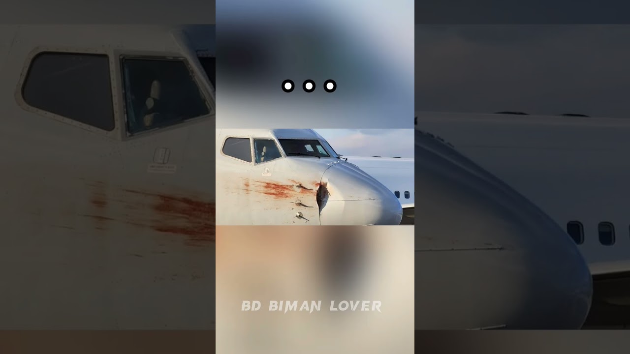 Other : Bird strikes aren't that dangerous #avgeek #flight #planes #birdstrike #airline #aircraft