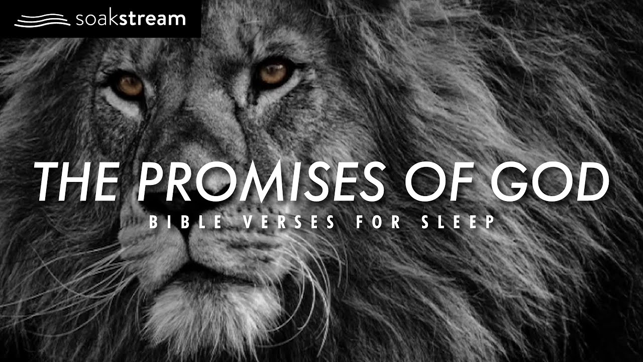 God's Promises & Bible Verses for Sleep ✨