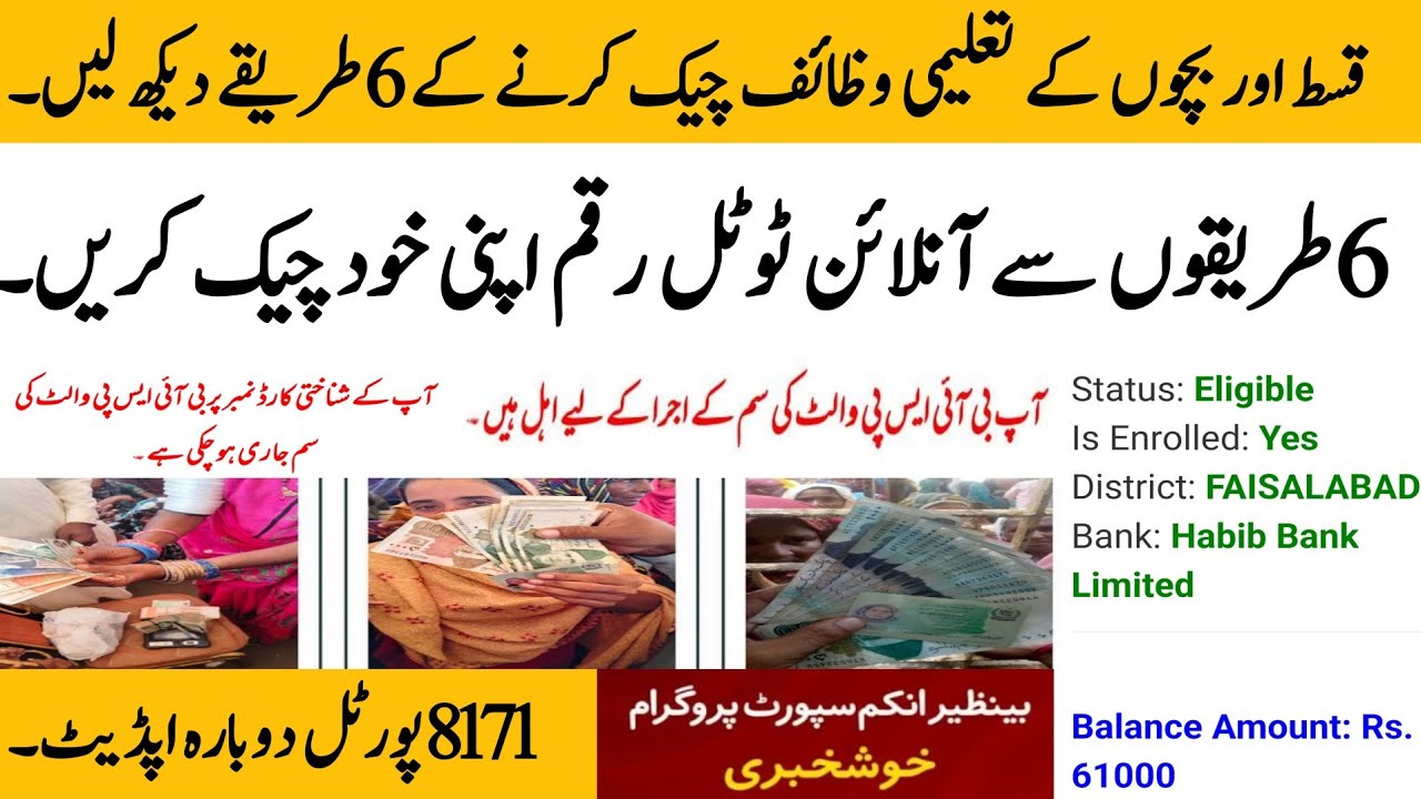 BISP 6 Methods to Check Total Payment 💰