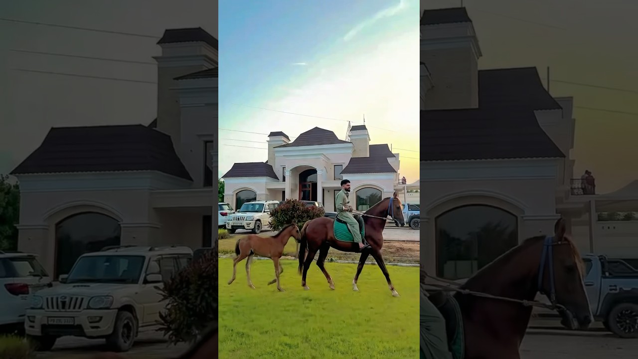 Bloodline by KS Makhan ft. Divrose | Punjabi Song 2025 🎶