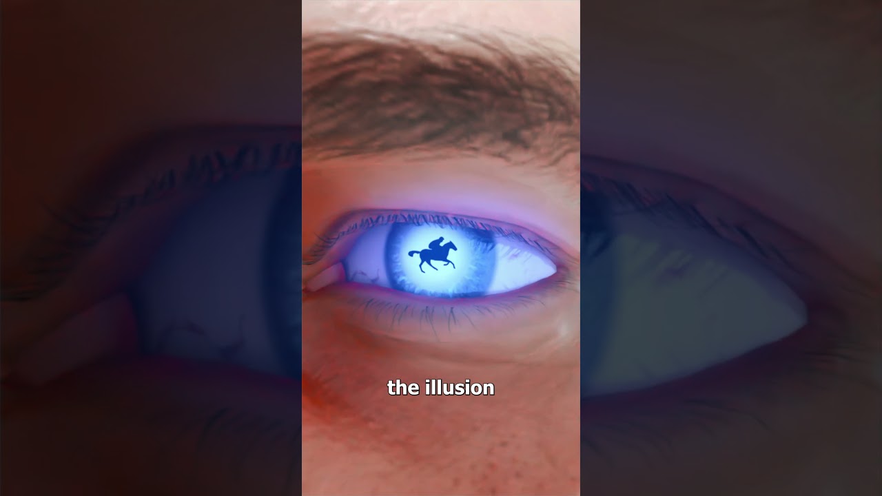 How Motion Pictures Work 🎬