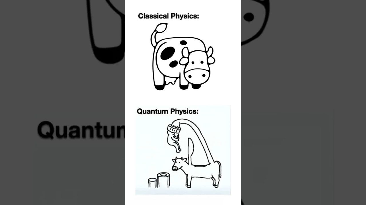 If You Think You Understand Quantum Mechanics, Then You Don’t Understand Quantum Mechanics