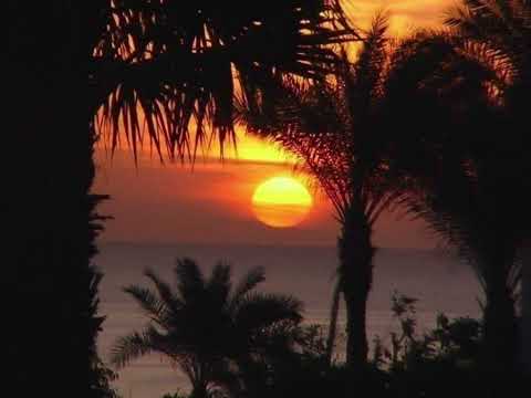 AIS - İ can fly X Və bir də