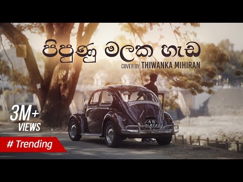 Pipunu Malaka | පිපුණු මලක හැඩ - Cover by Thiwanka Mihiran