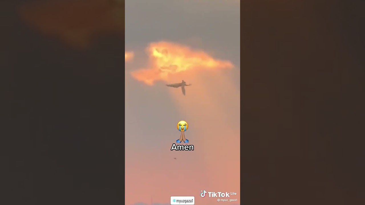 Miracle: Ange Descend du Ciel en 2023 ✨